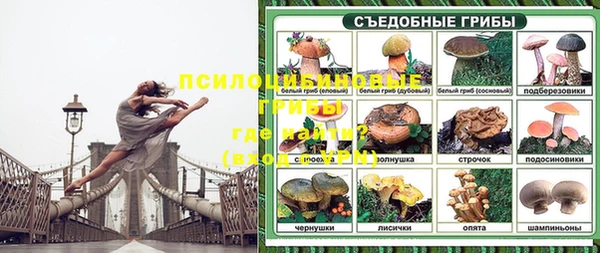 бошки Пестово
